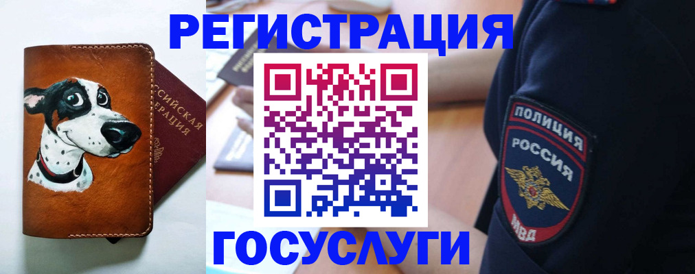 временная регистрация в квартире в Тимашёвске